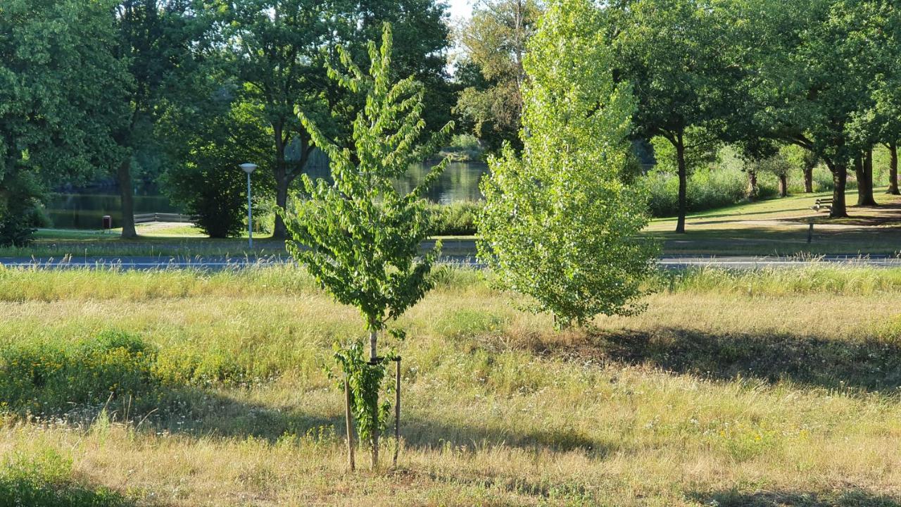 Logies Bij Wandelpad Te Хльтен Экстерьер фото